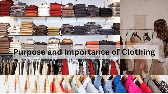 Purpose and Importance of Clothing in our Daily Lives