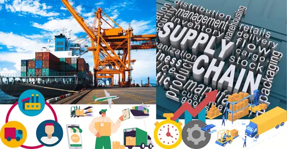 Functions Supply Chain Department in the Apparel Industry